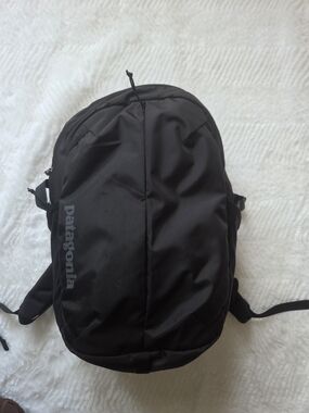 Patagonia Black Men's Everyday Backpack